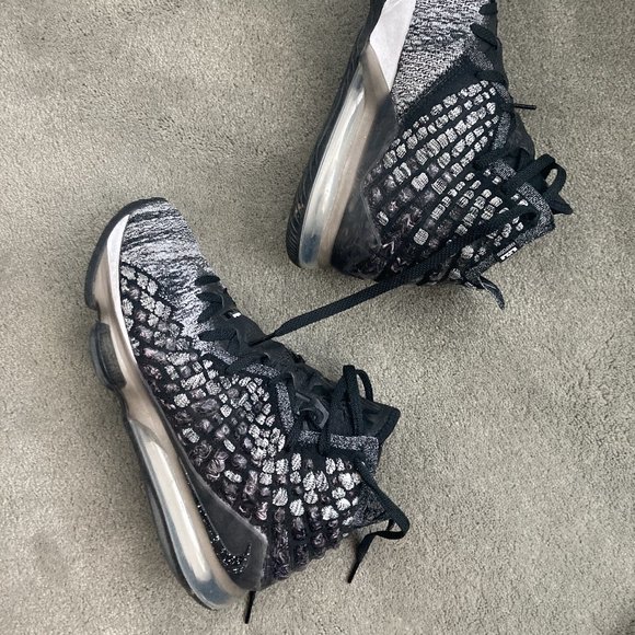 lebron 17 man in the arena